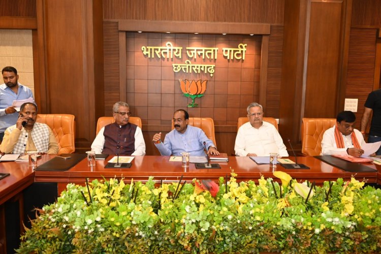*भाजपा कार्यकर्ता लक्ष्य की ओर बढ़ रहे हैं- माथुर*